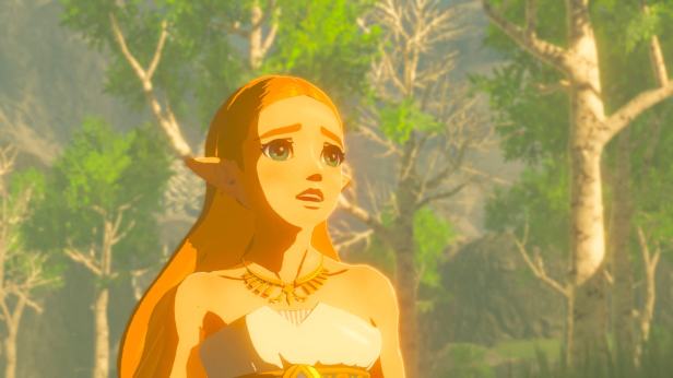 Princess Zelda in Zelda: Breath of the Wild.
